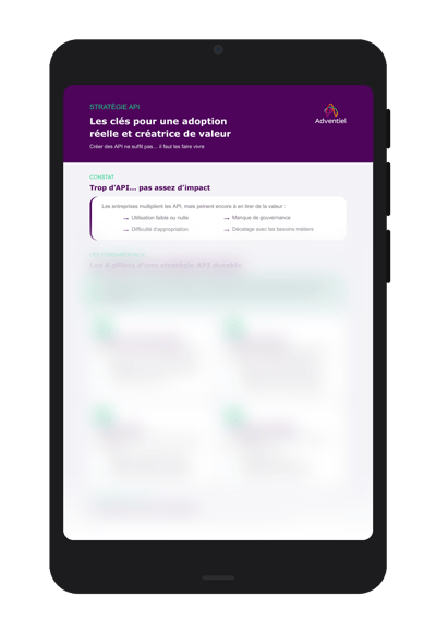 Infographie_API_ipad_mockup