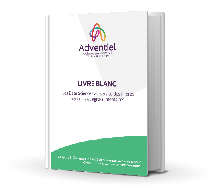 Livre_Blanc_Data_Sciences_volume_1_mockup